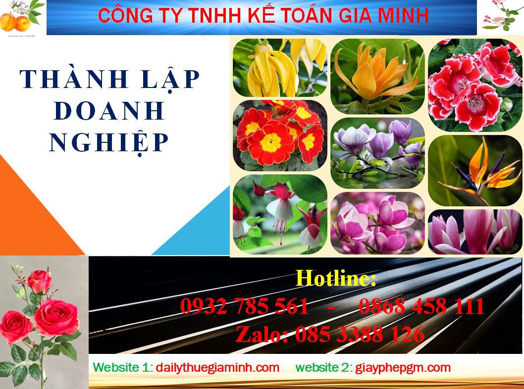 Dịch vụ làm giấy phép đăng ký kinh doanh tại Huyện Bình Chánh 4 Thủ tục làm giấy phép đăng ký kinh doanh tại Huyện Bình Chánh