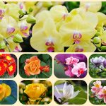 Dịch vụ làm giấy phép đăng ký kinh doanh tại Huyện Củ Chi 6 Muốn làm giấy phép đăng ký kinh doanh tại Huyện Củ Chi