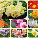 Dịch vụ làm lý lịch tư pháp Huyện Nhà Bè 6 Muốn làm giấy phép đăng ký kinh doanh tại Huyện Nhà Bè