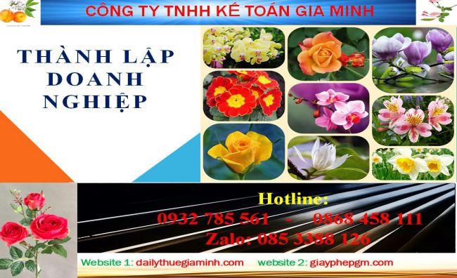 Dịch vụ làm lý lịch tư pháp Huyện Nhà Bè 4 Thủ tục làm giấy phép đăng ký kinh doanh tại Huyện Nhà Bè