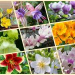 Dịch vụ làm giấy phép đăng ký kinh doanh tại Huyện Phúc Thọ 6 Muốn làm giấy phép đăng ký kinh doanh tại Huyện Phúc Thọ