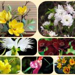Dịch vụ làm giấy phép đăng ký kinh doanh tại Khánh Hòa 6 Muốn làm giấy phép đăng ký kinh doanh tại Khánh Hòa