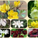Dịch vụ làm giấy phép đăng ký kinh doanh tại Nam Định 6 Muốn làm giấy phép đăng ký kinh doanh tại Nam Định