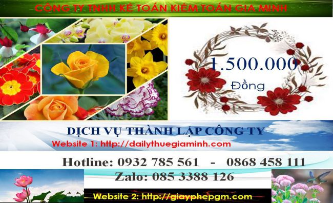 Dịch vụ làm giấy phép đăng ký kinh doanh tại Ninh Bình 5 Chi phí làm giấy phép đăng ký kinh doanh tại Ninh Bình