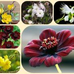 Dịch vụ làm giấy phép đăng ký kinh doanh tại Ninh Bình 6 Muốn làm giấy phép đăng ký kinh doanh tại Ninh Bình
