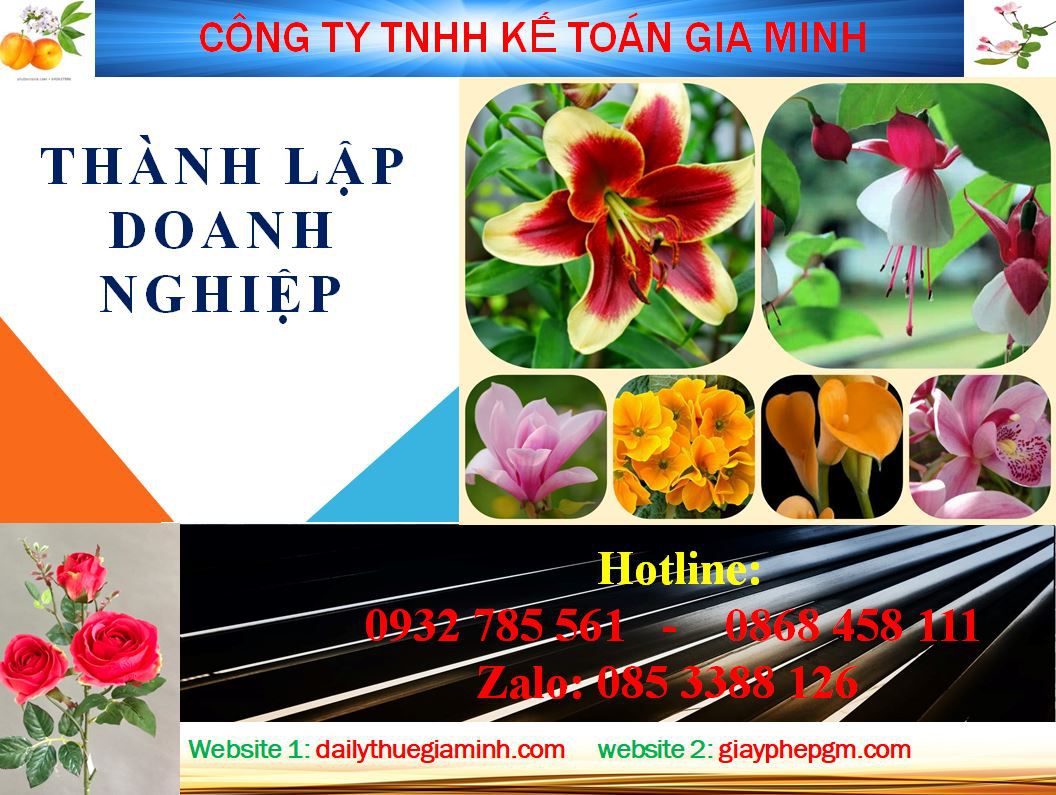 Dịch vụ làm giấy phép đăng ký kinh doanh tại Ninh Bình 4 Thủ tục làm giấy phép đăng ký kinh doanh tại Ninh Bình