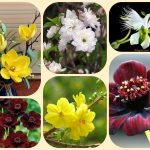 Dịch vụ làm giấy phép đăng ký kinh doanh tại Ninh Thuận 6 Muốn làm giấy phép đăng ký kinh doanh tại Ninh Thuận