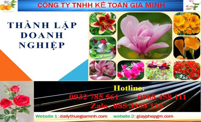 Dịch vụ làm giấy phép đăng ký kinh doanh tại Ninh Thuận 4 Thủ tục làm giấy phép đăng ký kinh doanh tại Ninh Thuận