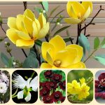 Dịch vụ làm giấy phép đăng ký kinh doanh tại Phú Thọ 6 Muốn làm giấy phép đăng ký kinh doanh tại Phú Thọ