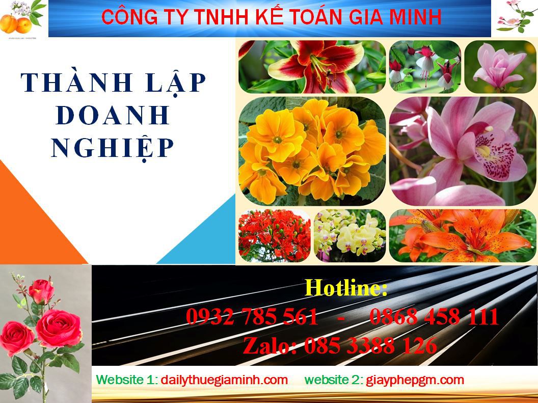 Thủ tục làm giấy phép đăng ký kinh doanh tại Phú Thọ