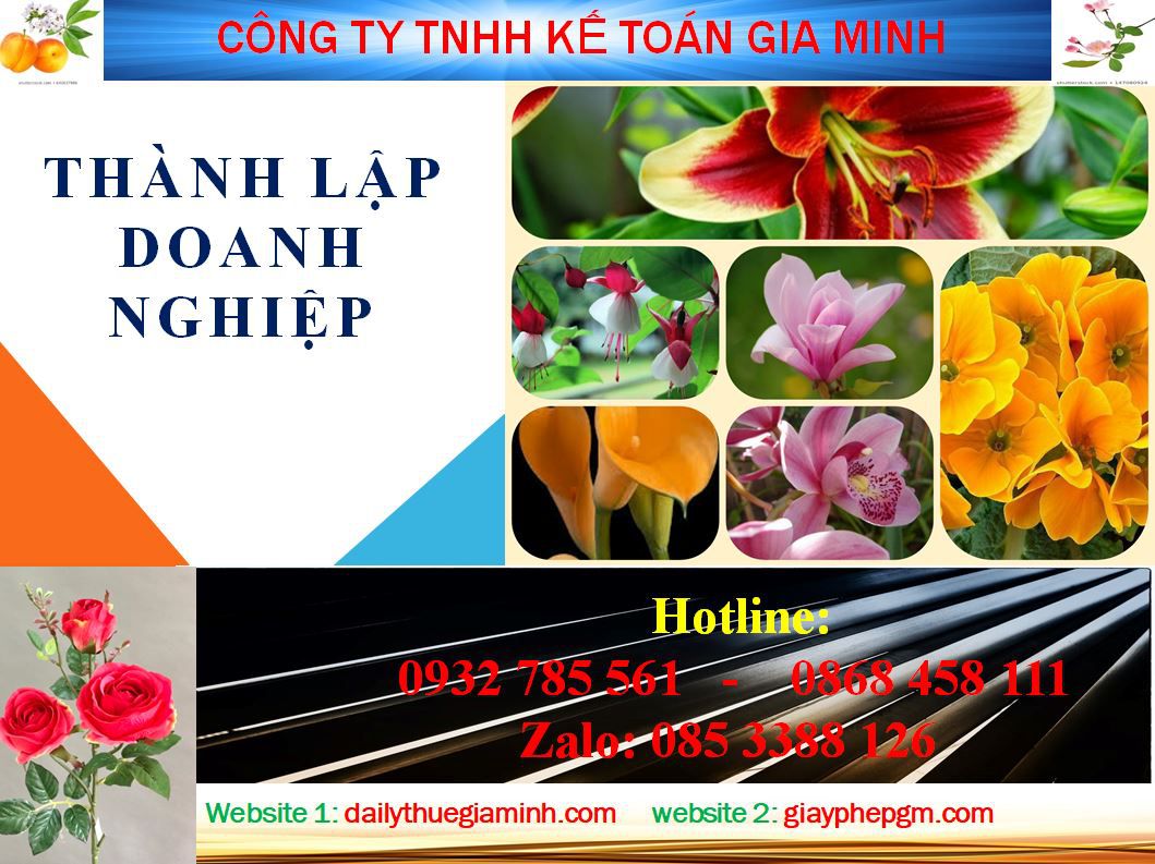 Dịch vụ làm giấy phép đăng ký kinh doanh tại Quận 11 4 Thủ tục làm giấy phép đăng ký kinh doanh tại Quận 11