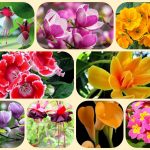 Dịch vụ làm giấy phép đăng ký kinh doanh tại Quận 3 6 Muốn làm giấy phép đăng ký kinh doanh tại Quận 3