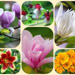 Dịch vụ làm giấy phép đăng ký kinh doanh tại Quận 7 6 Muốn làm giấy phép đăng ký kinh doanh tại Quận 7