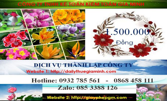 Dịch vụ làm giấy phép đăng ký kinh doanh tại Quảng Bình 5 Chi phí làm giấy phép đăng ký kinh doanh tại Quảng Bình