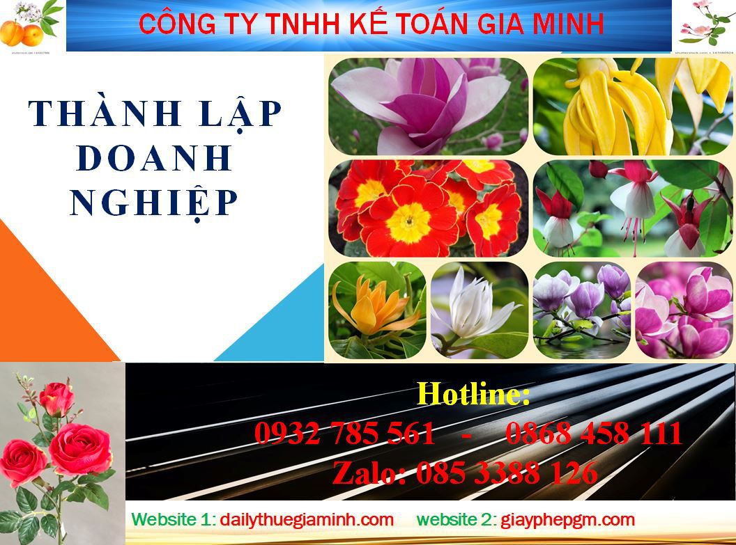 Dịch vụ làm giấy phép đăng ký kinh doanh tại Quảng Ninh 4 Thủ tục làm giấy phép đăng ký kinh doanh tại Quảng Ninh
