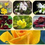 Dịch vụ làm giấy phép đăng ký kinh doanh tại Quảng Trị 6 Muốn làm giấy phép đăng ký kinh doanh tại Quảng Trị
