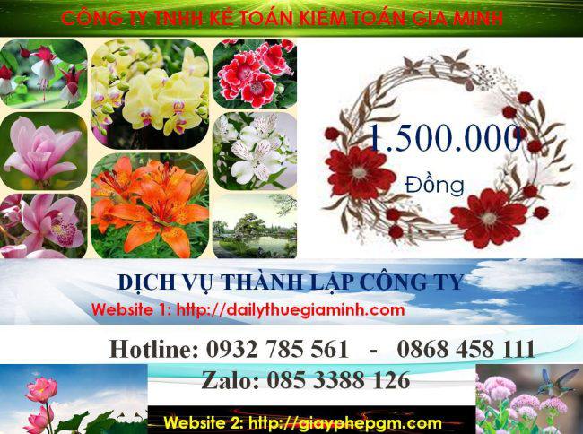 Dịch vụ làm giấy phép đăng ký kinh doanh tại Quảng Trị 5 Chi phí làm giấy phép đăng ký kinh doanh tại Quảng Trị