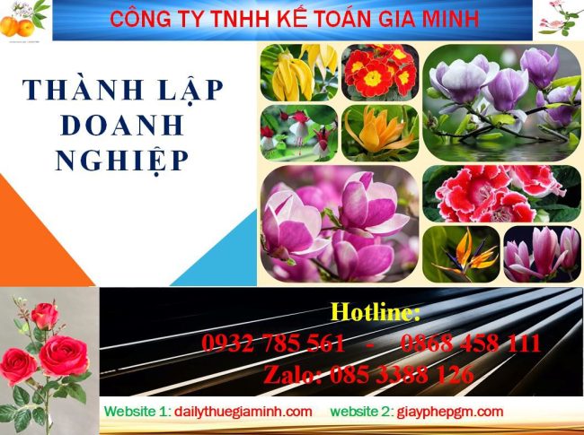 Dịch vụ làm giấy phép đăng ký kinh doanh tại Quảng Trị 4 Thủ tục làm giấy phép đăng ký kinh doanh tại Quảng Trị