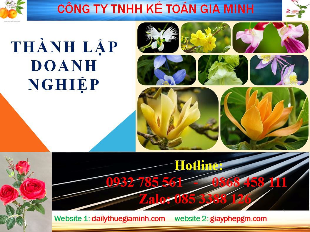 Dịch vụ làm giấy phép đăng ký kinh doanh tại Sóc Trăng 4 Thủ tục làm giấy phép đăng ký kinh doanh tại Sóc Trăng