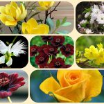 Dịch vụ làm giấy phép đăng ký kinh doanh tại Sơn La 6 Muốn làm giấy phép đăng ký kinh doanh tại Sơn La