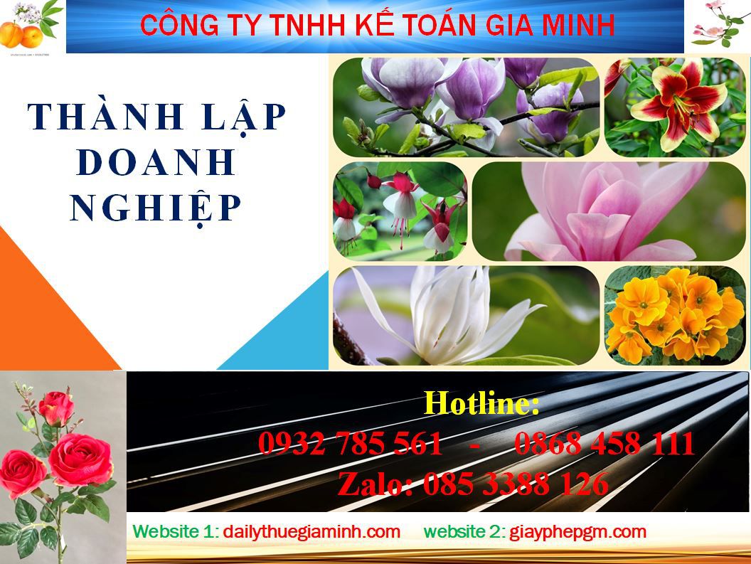 Thủ tục làm giấy phép đăng ký kinh doanh tại Thị Xã Thuận An