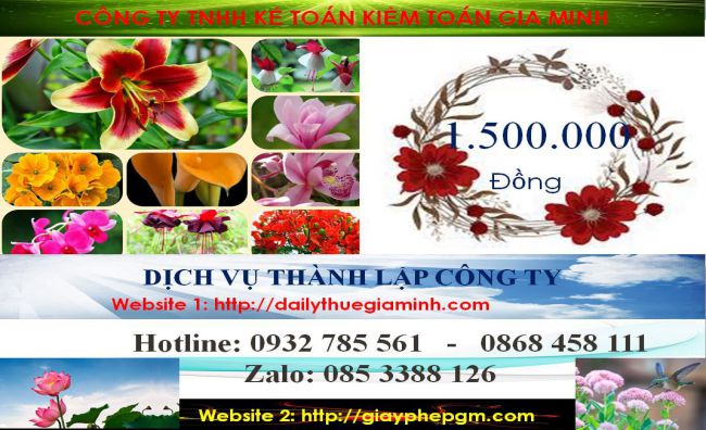 Dịch vụ làm giấy phép đăng ký kinh doanh tại Thị Xã Tân Uyên 5 Chi phí làm giấy phép đăng ký kinh doanh tại Thị Xã Tân Uyên