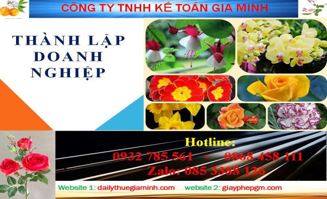 Dịch vụ làm giấy phép đăng ký kinh doanh tại Thị Xã Tân Uyên 4 Thủ tục làm giấy phép đăng ký kinh doanh tại Thị Xã Tân Uyên