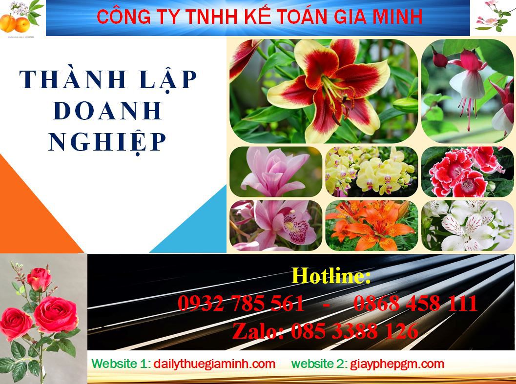 Dịch vụ làm giấy phép đăng ký kinh doanh tại Thành Phố Hồ Chí Minh 4 Thủ tục làm giấy phép đăng ký kinh doanh tại Thành Phố Hồ Chí Minh