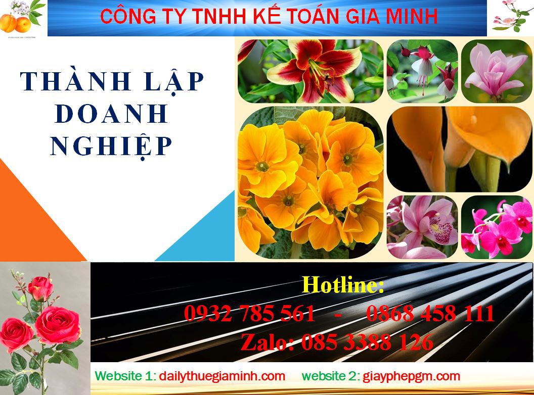 Dịch vụ làm giấy phép đăng ký kinh doanh tại Trà Vinh 4 Thủ tục làm giấy phép đăng ký kinh doanh tại Trà Vinh