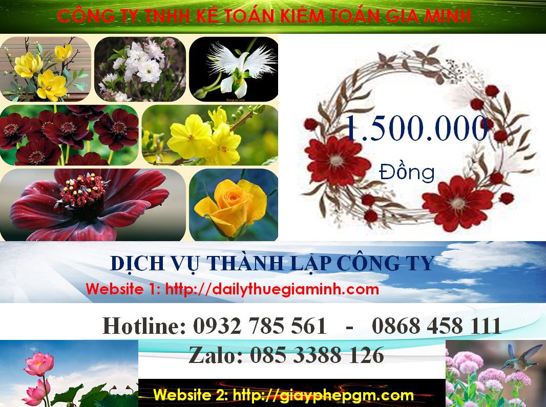 Dịch vụ làm giấy phép đăng ký kinh doanh tại Tuyên Quang 5 Chi phí làm giấy phép đăng ký kinh doanh tại Tuyên Quang
