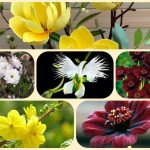 Dịch vụ làm giấy phép đăng ký kinh doanh tại Tuyên Quang 6 Muốn làm giấy phép đăng ký kinh doanh tại Tuyên Quang