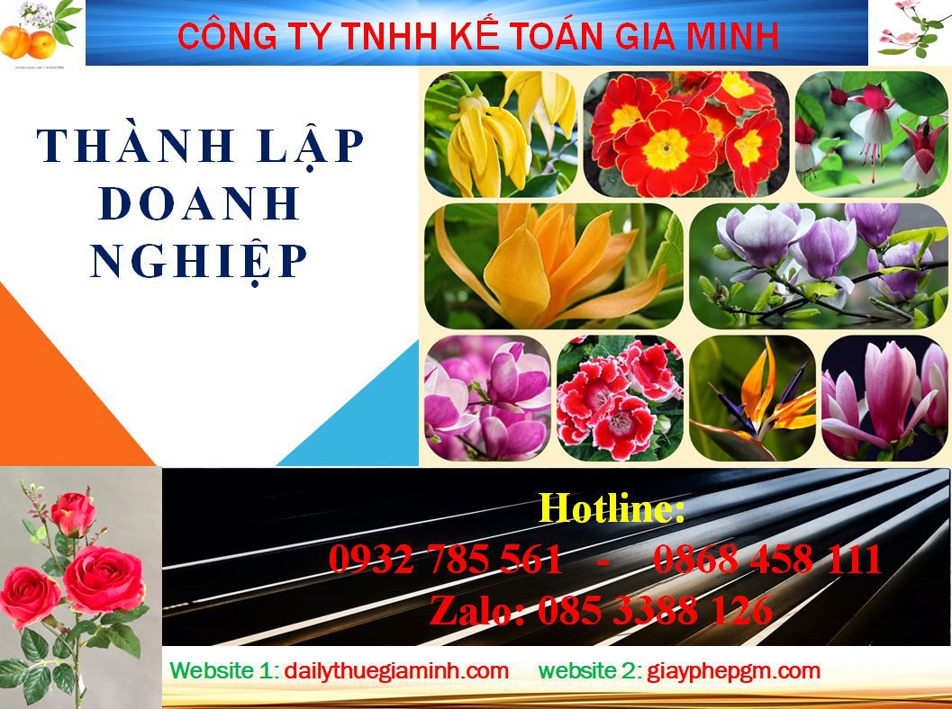 Dịch vụ làm giấy phép đăng ký kinh doanh tại Vũng Tàu 4 Thủ tục làm giấy phép đăng ký kinh doanh tại Vũng Tàu