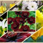 Dịch vụ làm giấy phép đăng ký kinh doanh tại Yên Bái 6 Dịch vụ làm giấy phép đăng ký kinh doanh tại Yên Bái