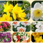 Mở công ty trọn gói tại Bạc Liêu 6 Dịch vụ thành lập công ty trọn gói tại Bạc Liêu
