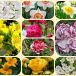 Mở công ty trọn gói tại Bắc Ninh 6 Dịch vụ thành lập công ty trọn gói tại Bắc Ninh