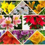 Mở công ty trọn gói tại Huyện Bắc Tân Uyên 6 Dịch vụ thành lập công ty trọn gói tại Huyện Bắc Tân Uyên