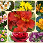 Mở công ty trọn gói tại Huyện Bàu Bàng 6 Dịch vụ thành lập công ty trọn gói tại Huyện Bàu Bàng