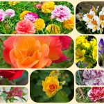 Dịch vụ thành lập công ty trọn gói tại Huyện Dầu Tiếng