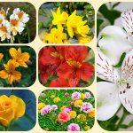 Mở công ty trọn gói tại Huyện Sóc Sơn 6 Dịch vụ thành lập công ty trọn gói tại Huyện Sóc Sơn