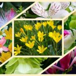 Dịch vụ mở nhà thuốc đạt GPP tại Đà Nẵng 6 Muốn mở nhà thuốc đạt GPP tại Đà Nẵng