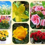 Dịch vụ mở nhà thuốc đạt GPP tại Nam Định 6 Muốn mở nhà thuốc đạt GPP tại Nam Định