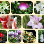 Dịch vụ mở nhà thuốc đạt GPP tại Ninh Bình 6 Muốn mở nhà thuốc đạt GPP tại Ninh Bình