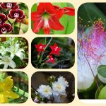 Dịch vụ mở nhà thuốc đạt GPP tại Ninh Thuận 6 Muốn mở nhà thuốc đạt GPP tại Ninh Thuận