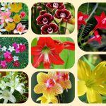 Dịch vụ mở nhà thuốc đạt GPP tại Quảng Bình 6 Muốn mở nhà thuốc đạt GPP tại Quãng Bình