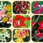 Dịch vụ mở nhà thuốc đạt GPP tại Quảng Ngãi 6 Muốn mở nhà thuốc đạt GPP tại Quãng Ngãi