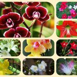 Dịch vụ mở nhà thuốc đạt GPP tại Quảng Ninh 6 Muốn mở nhà thuốc đạt GPP tại Quãng Ninh