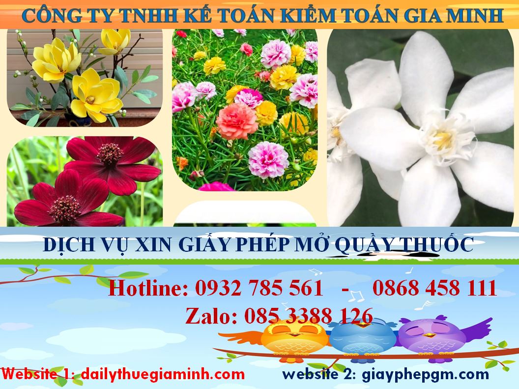 Dịch vụ mở quầy thuốc tại Bình Thuận 4 Thủ tục mở quầy thuốc tại Bình Thuận