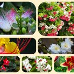 Dịch vụ mở quầy thuốc tại Bình Thuận 6 Muốn mở quầy thuốc tại Bình Thuận