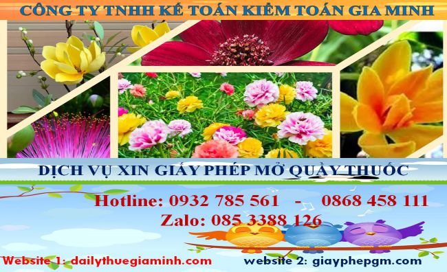 Dịch vụ mở quầy thuốc tại Cà Mau 4 Thủ tục mở quầy thuốc tại Cà Mau