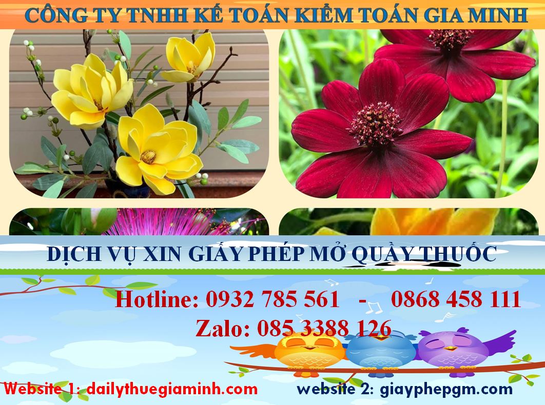Dịch vụ mở quầy thuốc tại Cao Bằng 4 Thủ tục mở quầy thuốc tại Cao Bằng